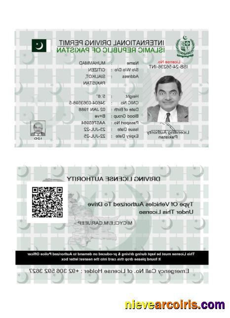 Pakistan international driving license 2022-present